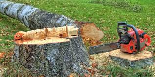 Best Lot and Land Clearing  in Loyola, CA