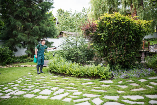 Best Tree Preservation Services  in Loyola, CA